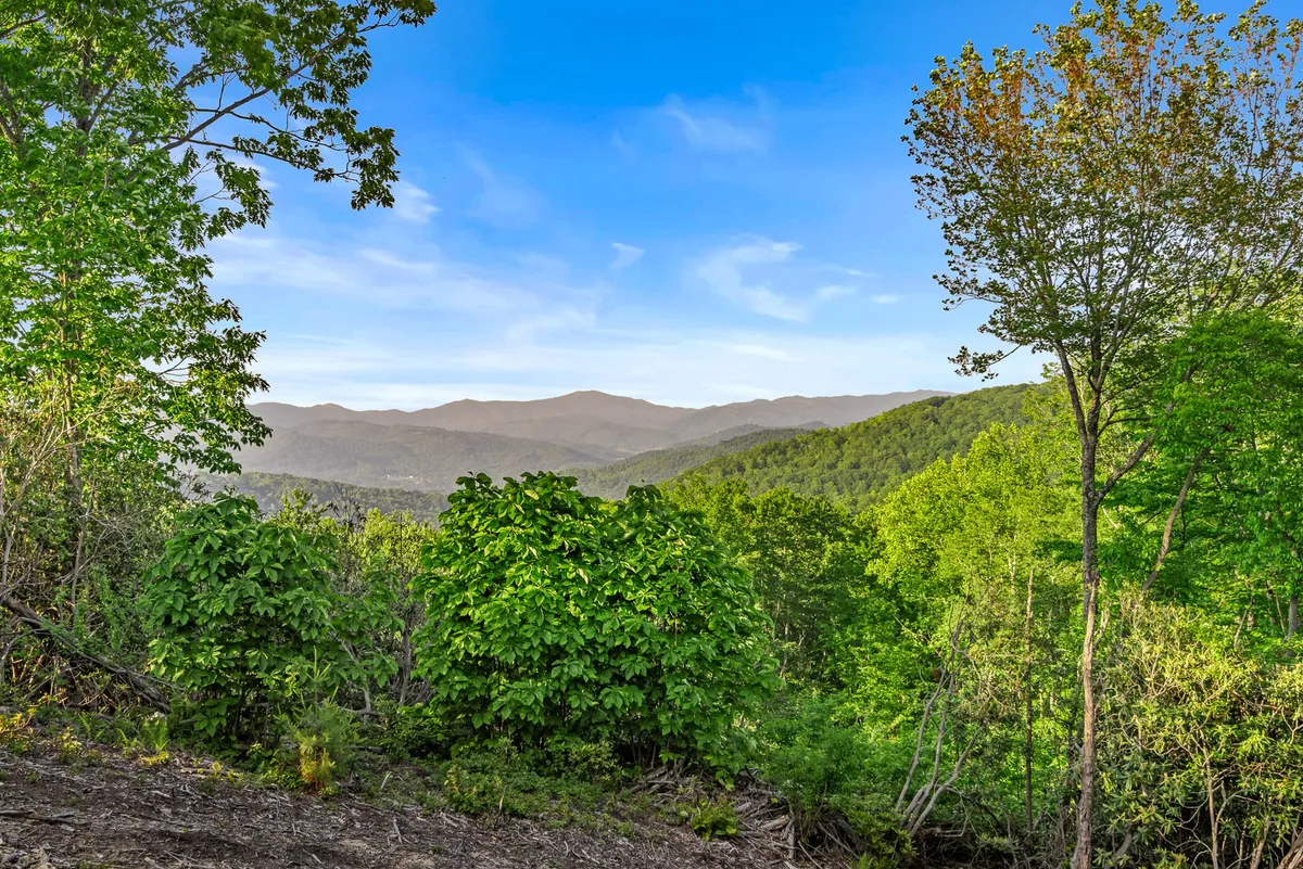 A panoramic view featuring lush green trees in the foreground, distant mountain ridges, and a clear blue sky. The scene is tranquil, with a sense of open space perfect for hiking, nature photography, or birdwatching.