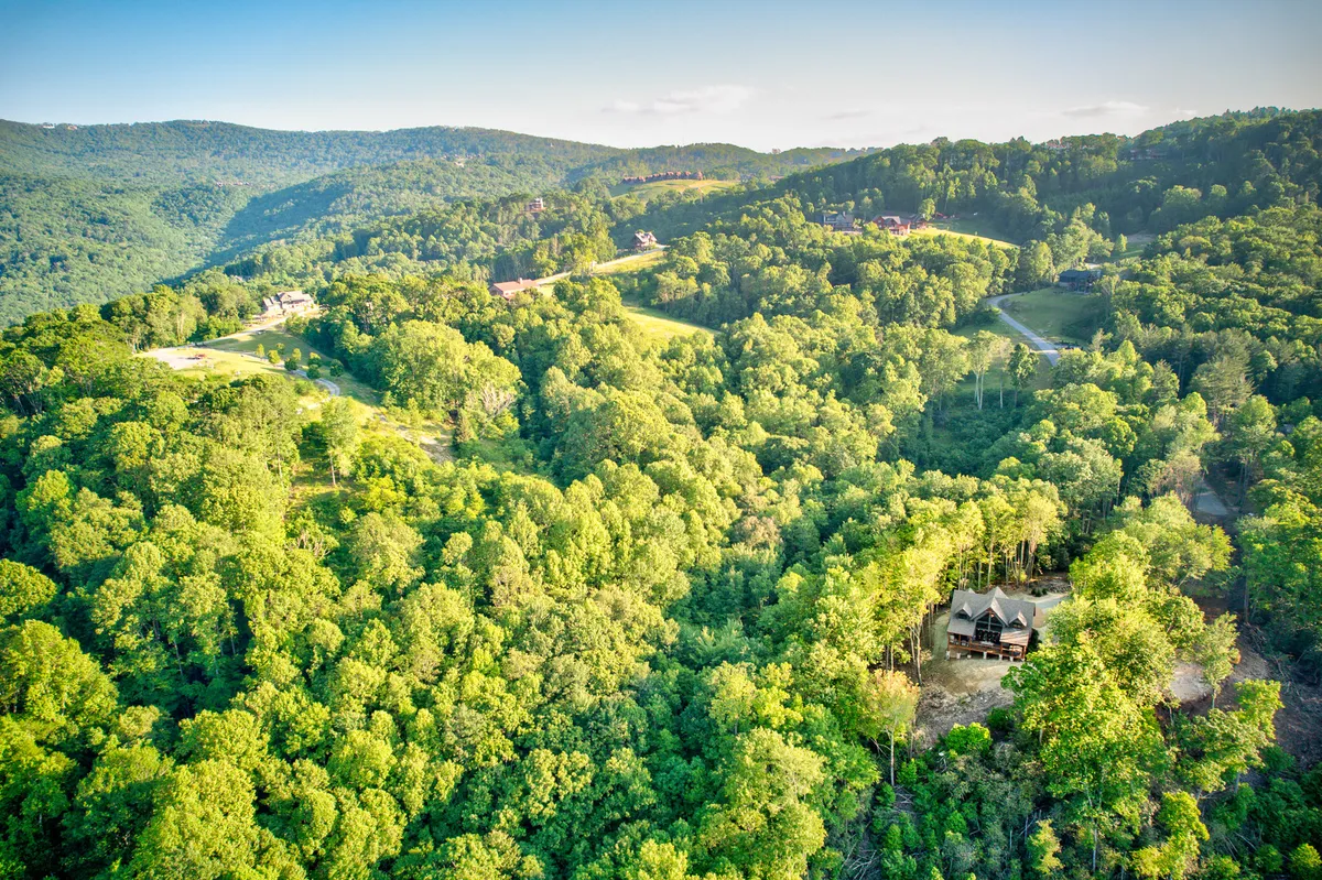 A charming wooden cabin nestled within a dense forest, framed by verdant trees and backed by mountain peaks. The natural setting invites exploration and relaxation, with a sense of seclusion and immersion in the outdoors.